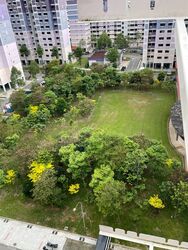 Blk 914 Nanyang Emerald (Jurong West), HDB 4 Rooms #487384061